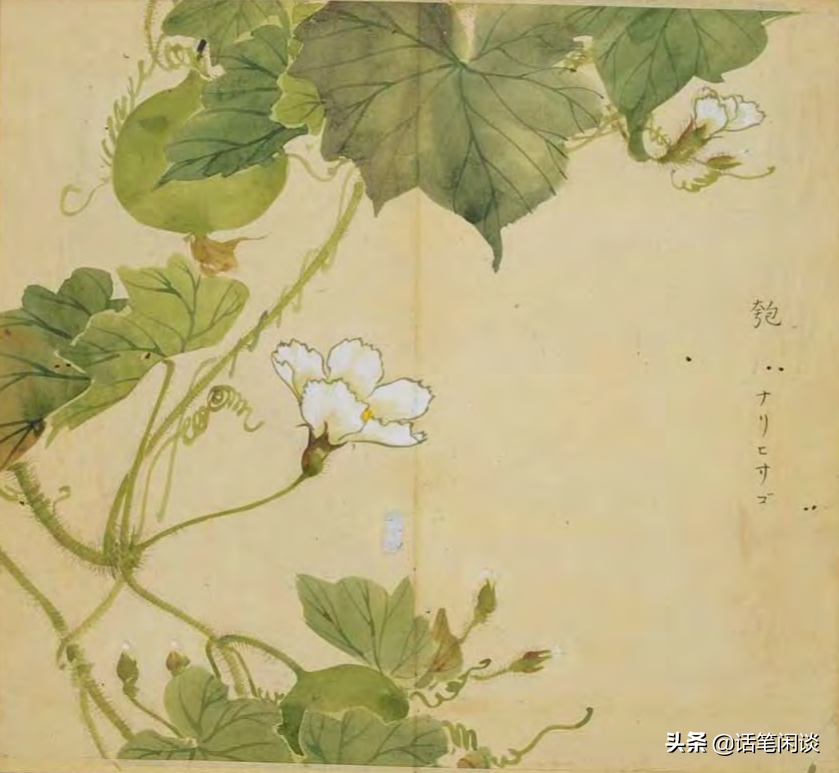 日本学者用心为《诗经》编了数百种图解，万物有灵，又美又细腻