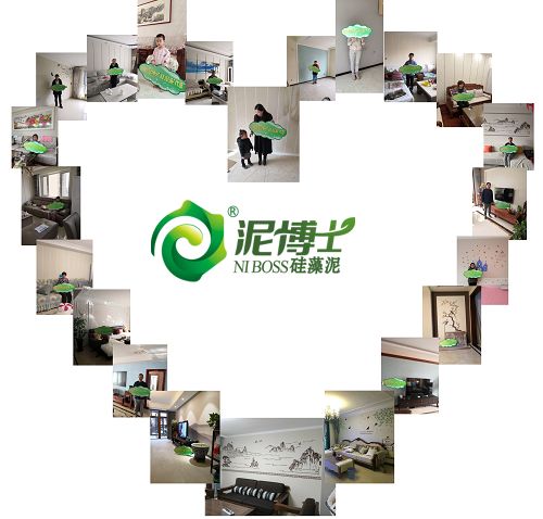 兰舍、大津、泥博士、绿森林、蒙太奇等硅藻泥Top10品牌发展论纲