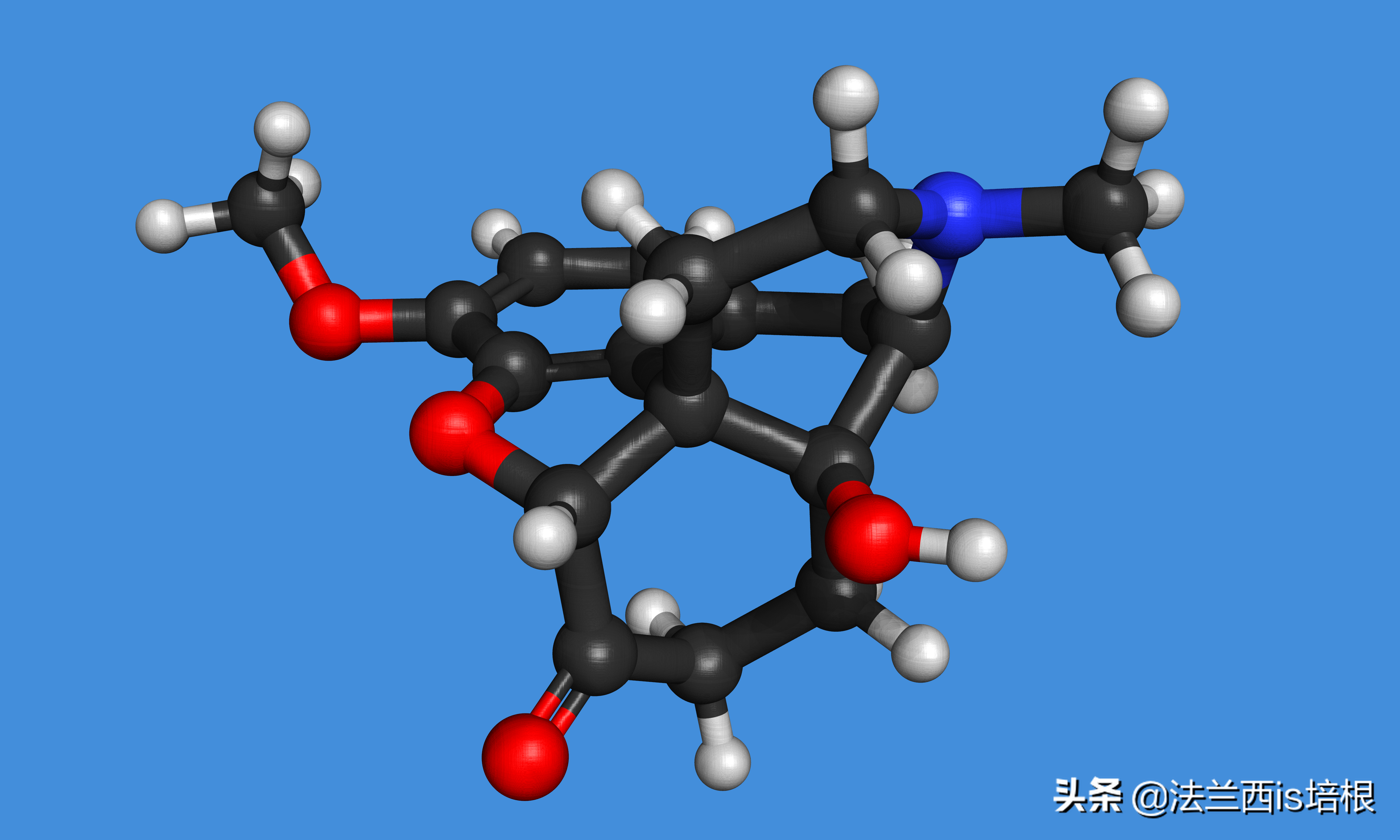 阿片类药物，吗啡、海洛因、奥施康定简史