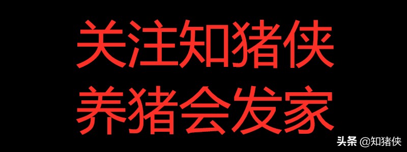 夏季“高热类”疾病难以区分，一套方案教你全搞定