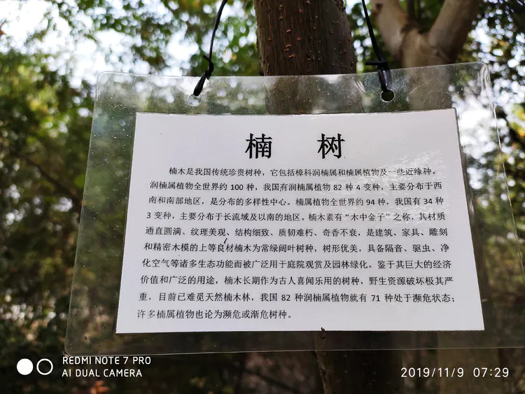 陪你一起看湖北省广水一中①——走进植物王国