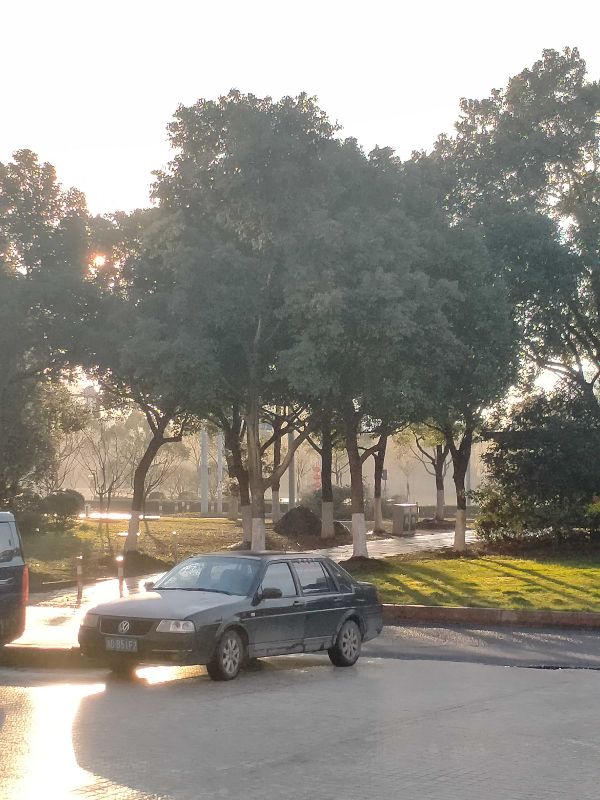 社会实践活动总结