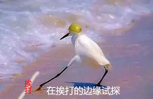 《奥奇传说手游》4月13日开启抢先下载，制作人专访揭秘精灵细节