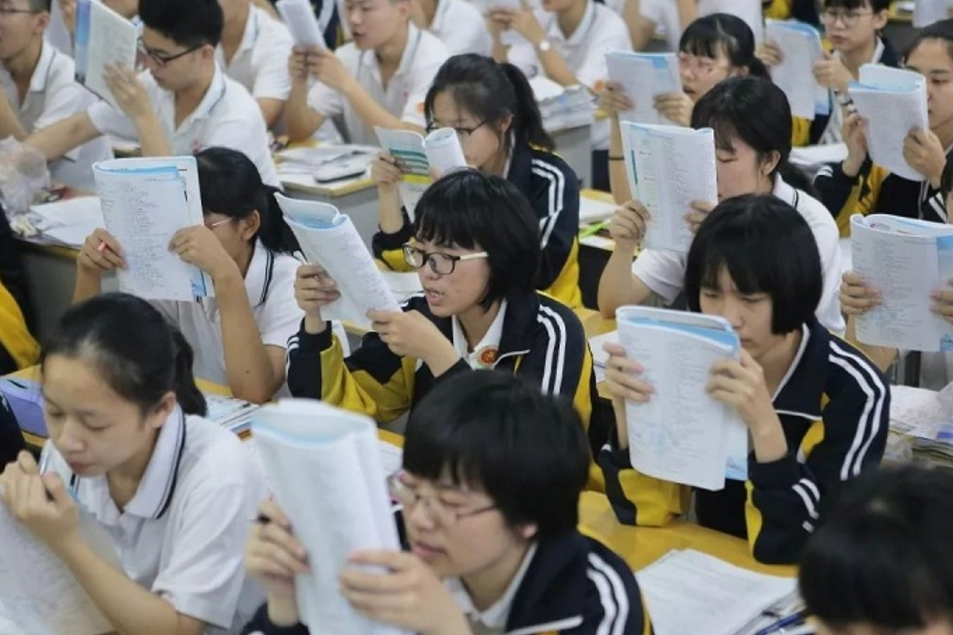 衡水中学校花（衡水中学高二）