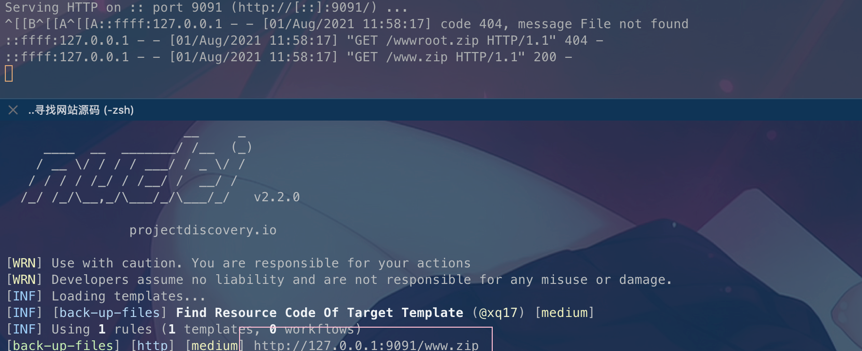 上帝视角：寻找网站源码