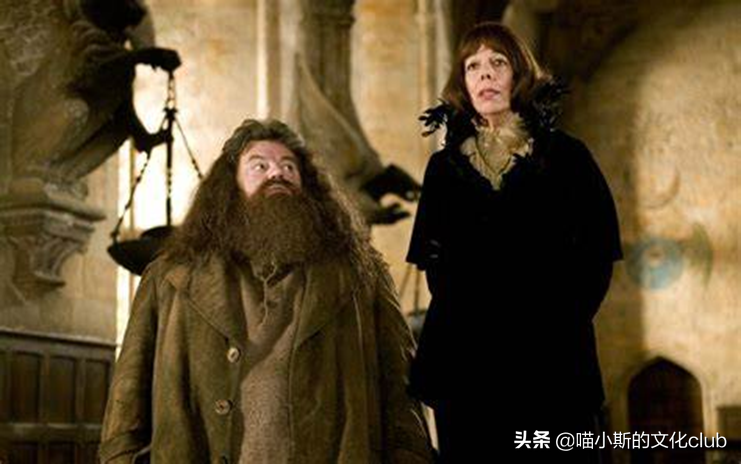 《哈利·波特》：鲁伯·海格与马克西姆夫人，相见恨晚的巨人之恋