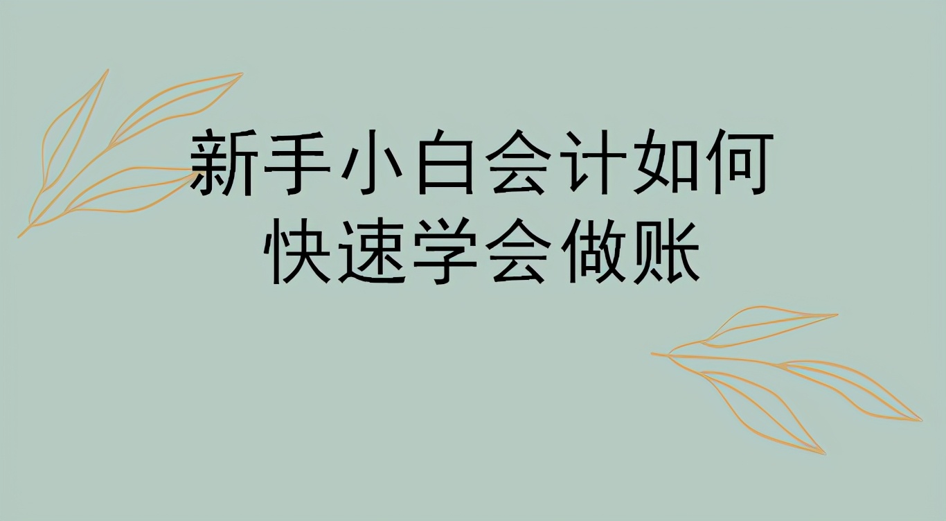 会计新手做账（新手小白会计如何快速学会做账）