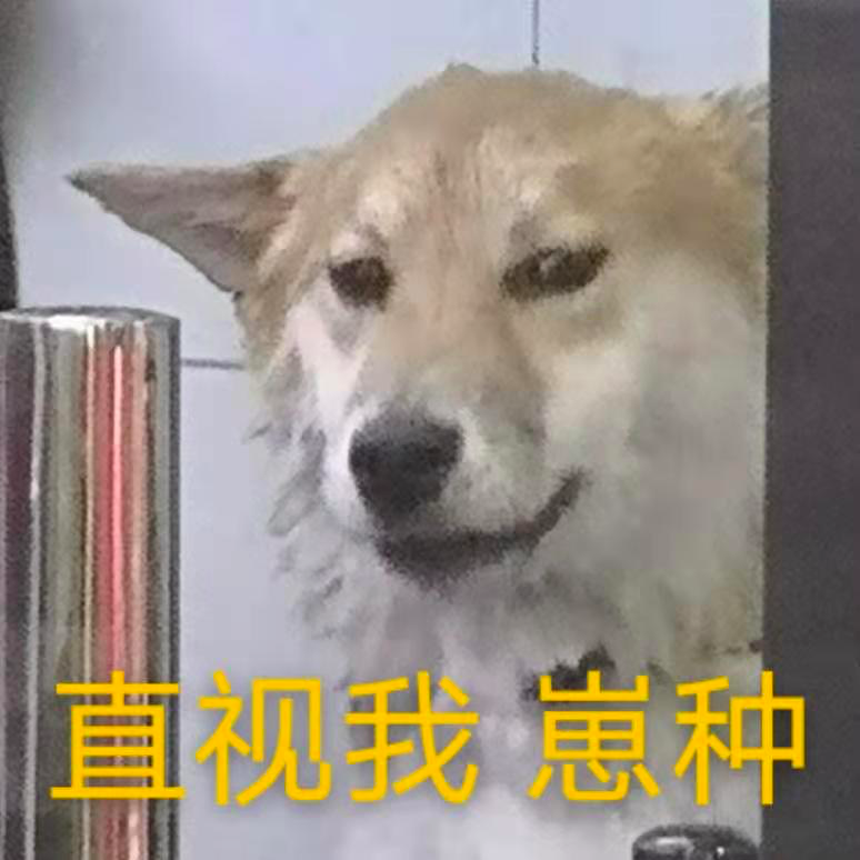 如何用丑照激怒朋友？我总结了100%拍丑别人的方法