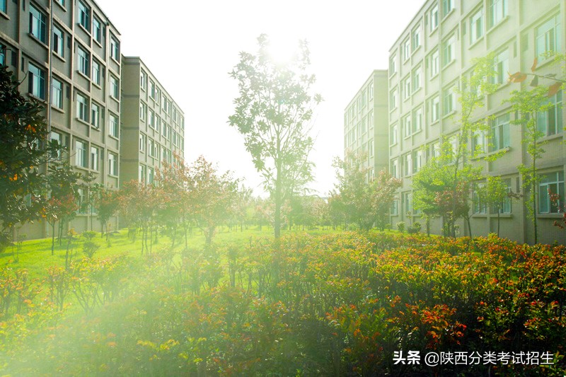 立德 笃学 修能 致用 ‖ 西安职业技术学院