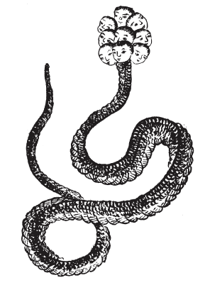 尚有其他,吴任臣《山海经广注》即称:"神九首者,相柳之外,九凤九首,木