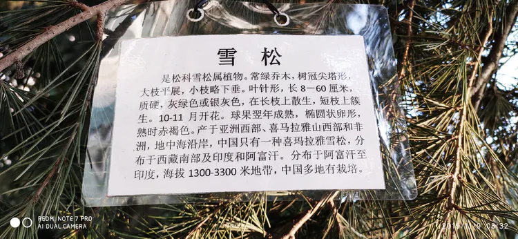 陪你一起看湖北省广水一中①——走进植物王国
