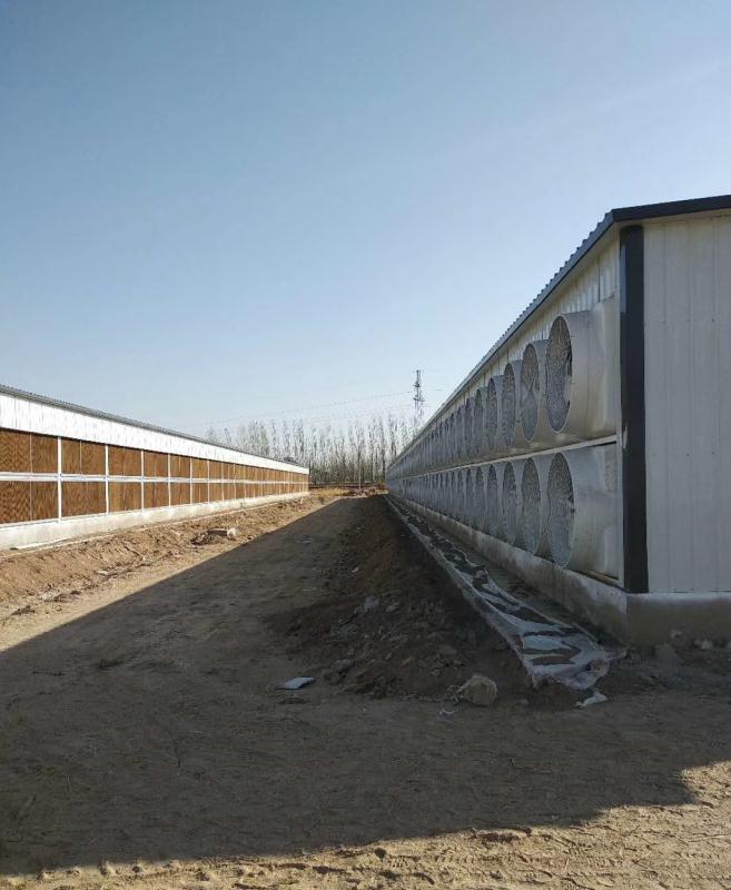 区块链之比特币矿场