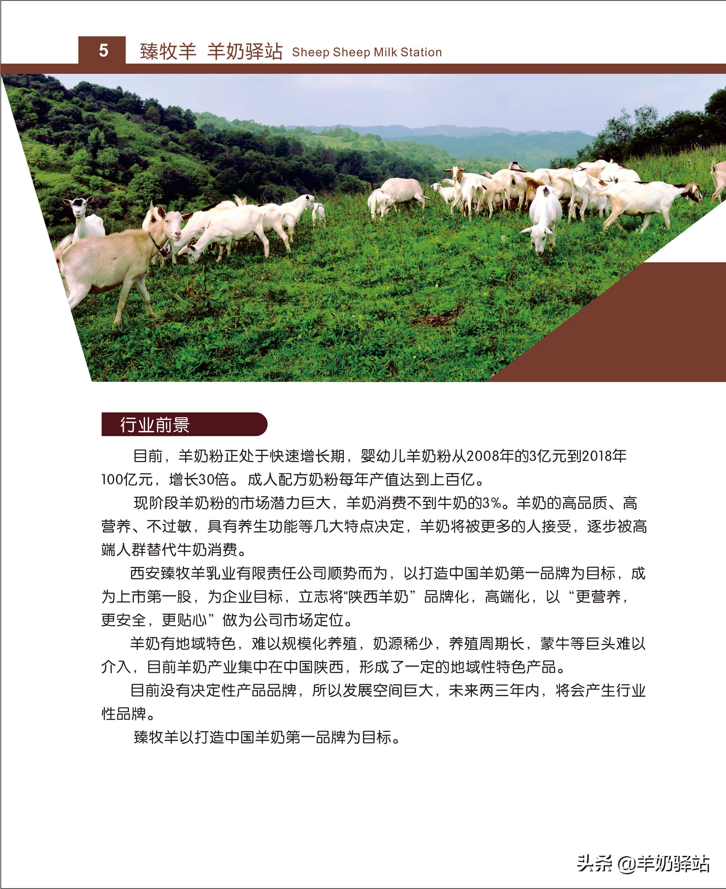 投资几万元，盈利几十万！羊奶驿站全国连锁加盟项目招商说明