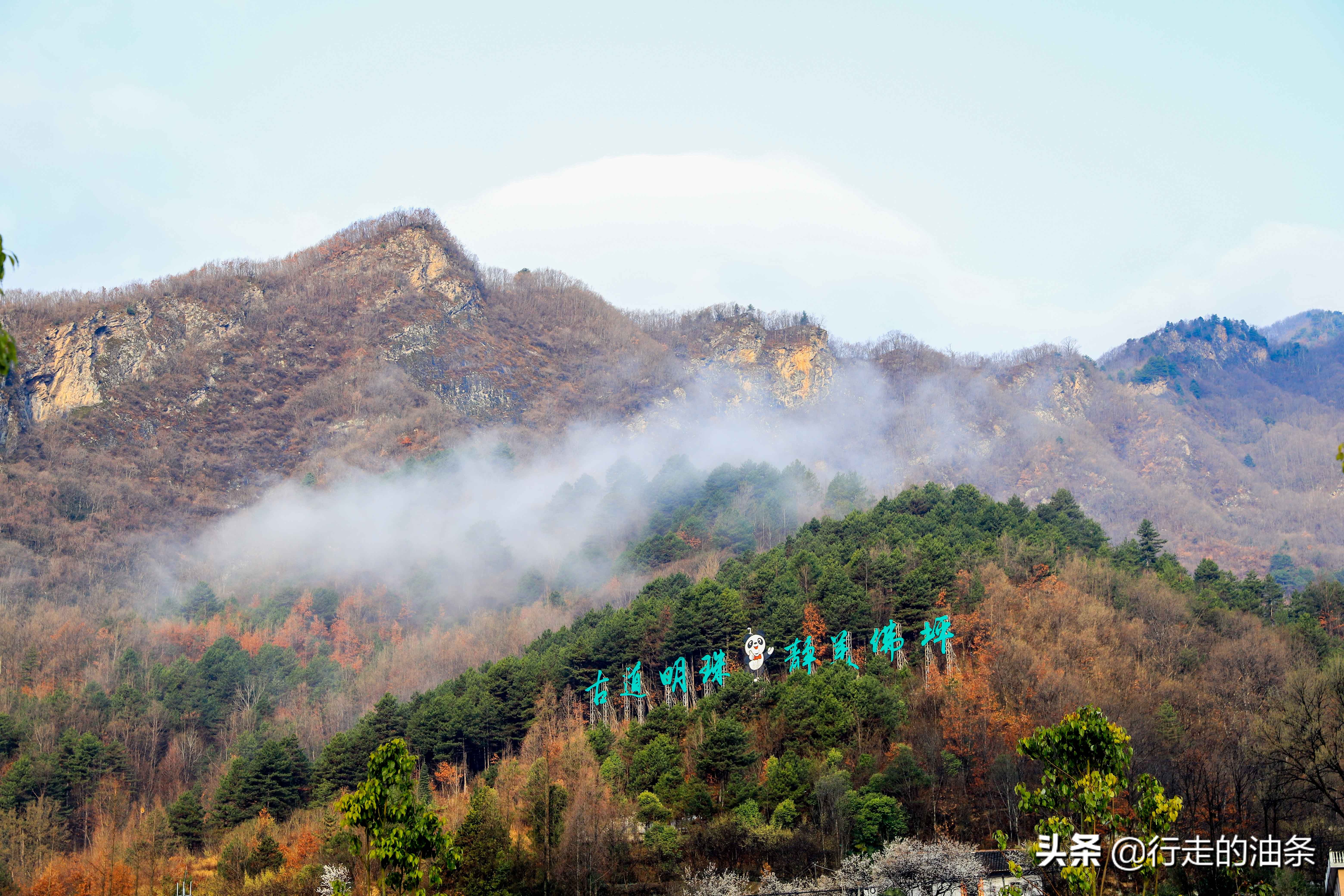 陕西佛坪：秦岭脚下的隐密胜地，世界旅游组织说这里最具旅游价值