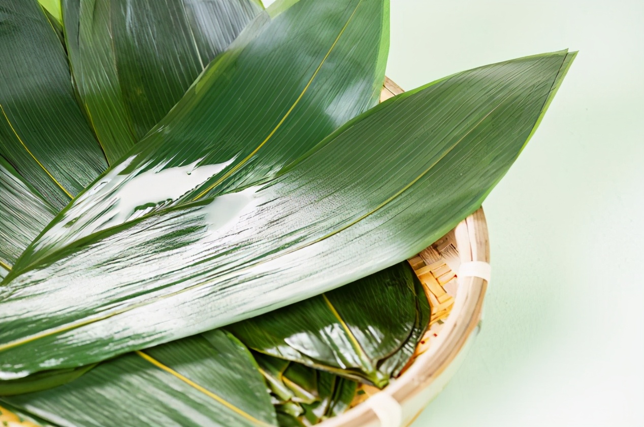 很多叶子都可以当粽叶,南方一般以箬叶为主,北方以芦苇叶为主.