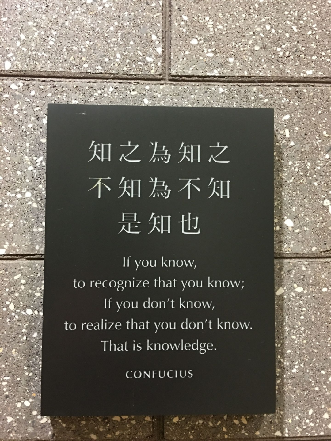如果你想知道什么是快乐藤校的话，我现在就带你Brown