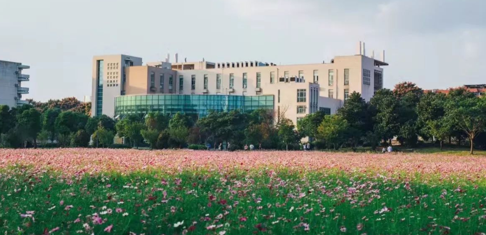 江苏这所211大学太可怜，学科强悍却常被忽视，适合考生捡漏