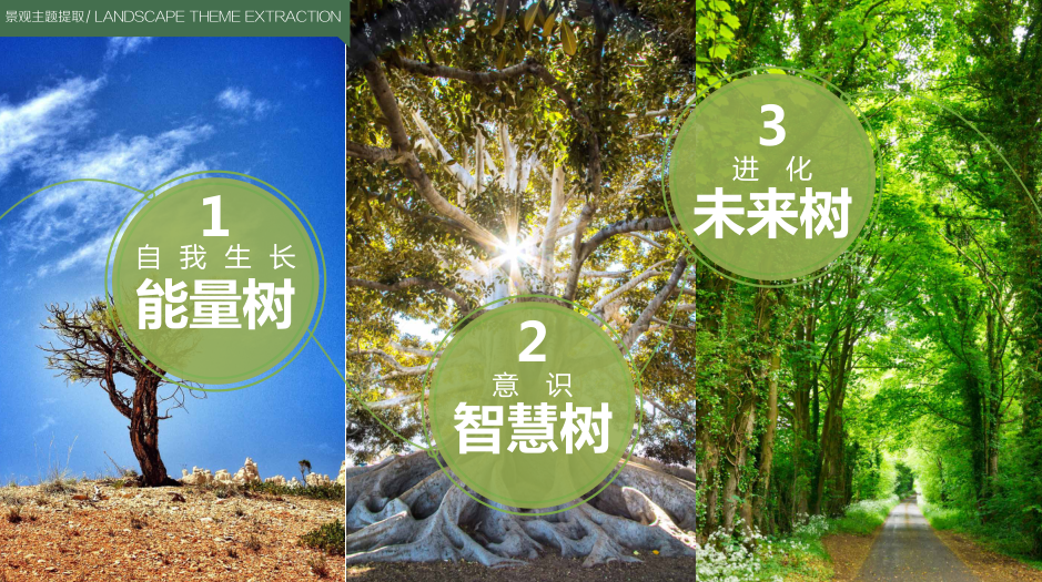 设计新思路,生命树概念,能量守恒,树,枝,干三层