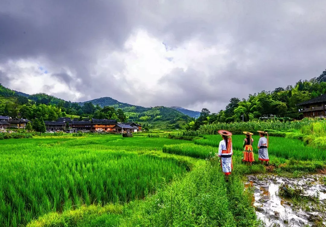 六月，湖南这6条自驾游线路，沿途风景美翻了