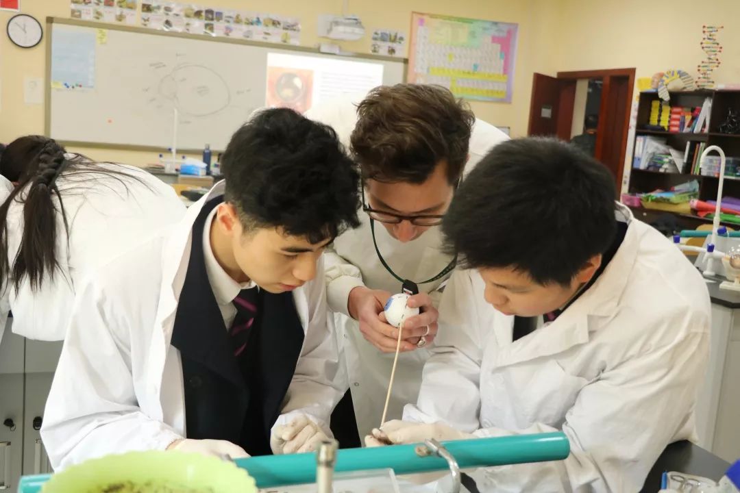 香港、青岛之后，这所英国百年名校4年来在成都遭遇了什么