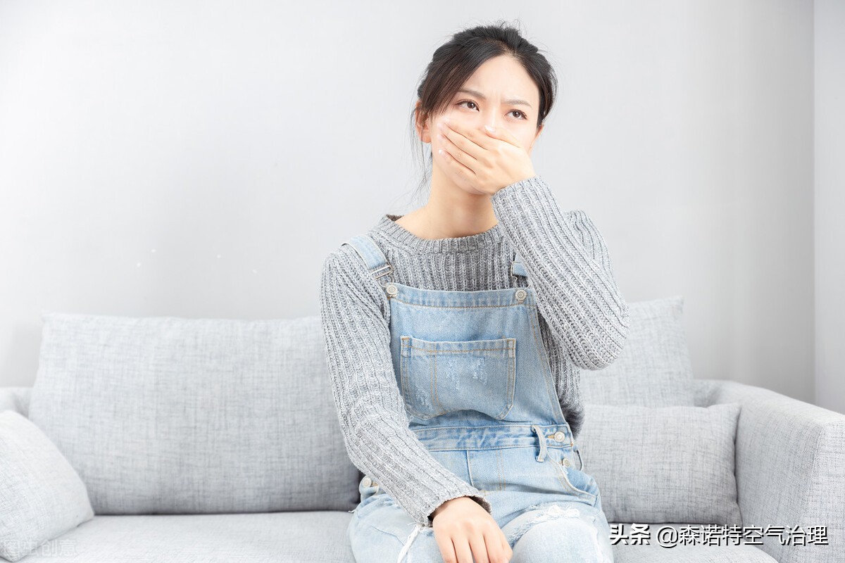 一套除甲醛设备多少钱操作26