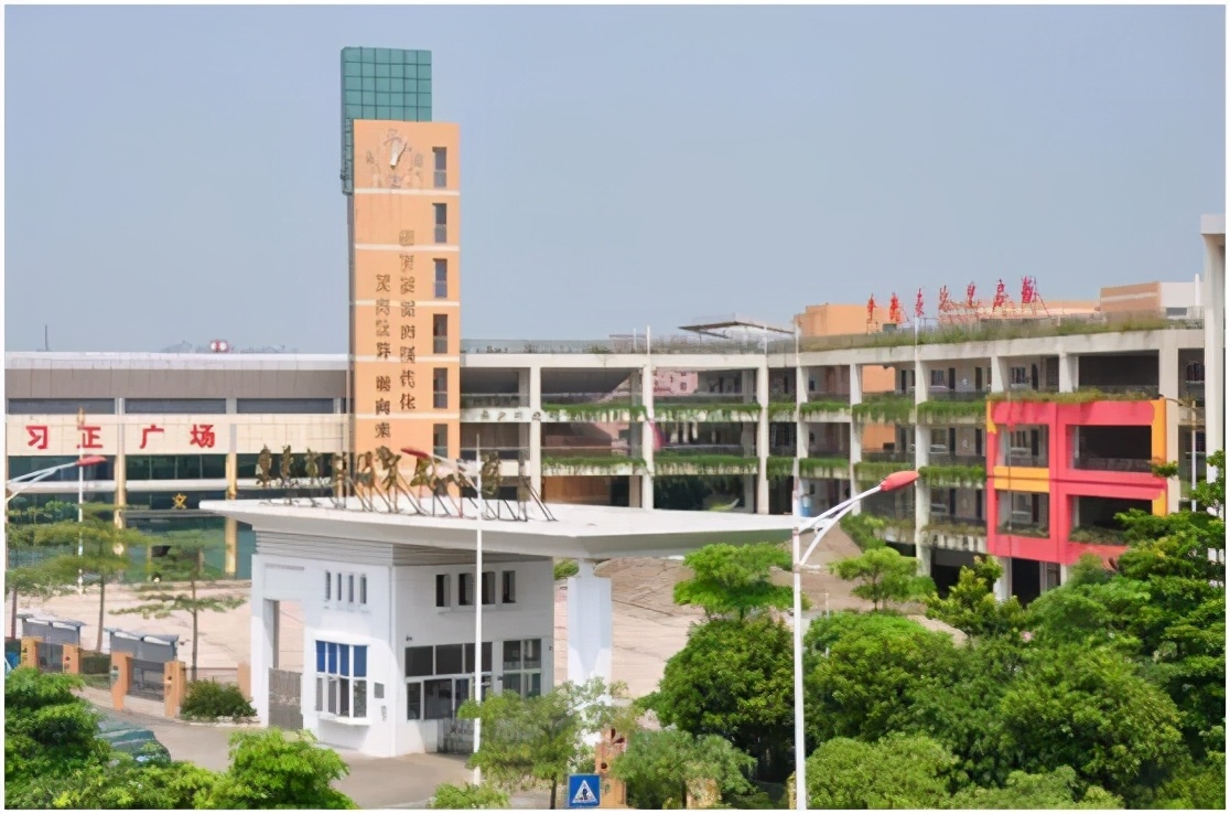 重磅！东莞这20所学校将全国出名