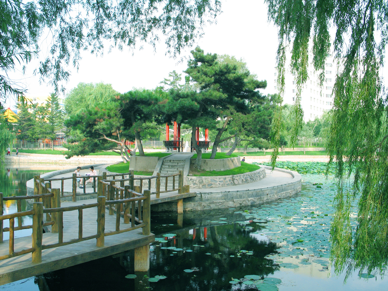 全国排名第5的师范大学：东北师范大学艺考政策解读录取成绩分析