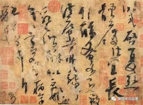 古诗词赏析 | 《木兰词·拟古决绝词柬友》纳兰性德