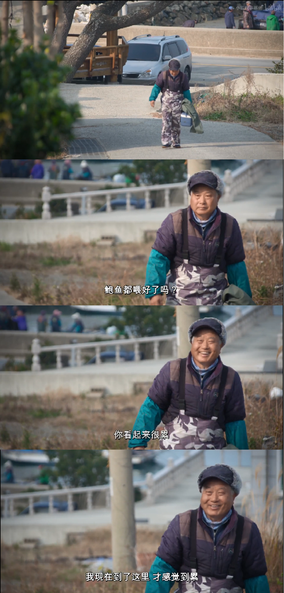 520特刊：这对老夫妻的每一天，都让人直呼“这就是爱情本身吧”