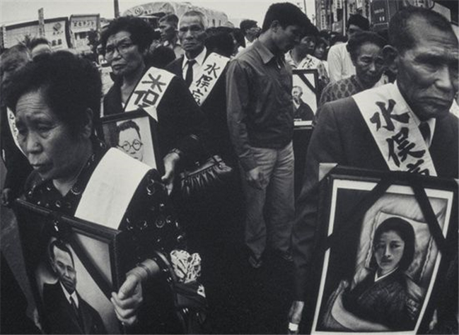 1952年，5万多只猫集体跳海自杀，背后隐藏着什么？