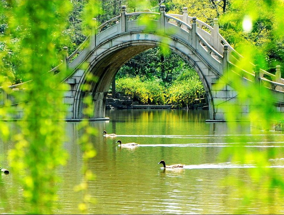 春天的新绿怎么拍?20张例图8个摄影技巧,拍文艺唯美风景照