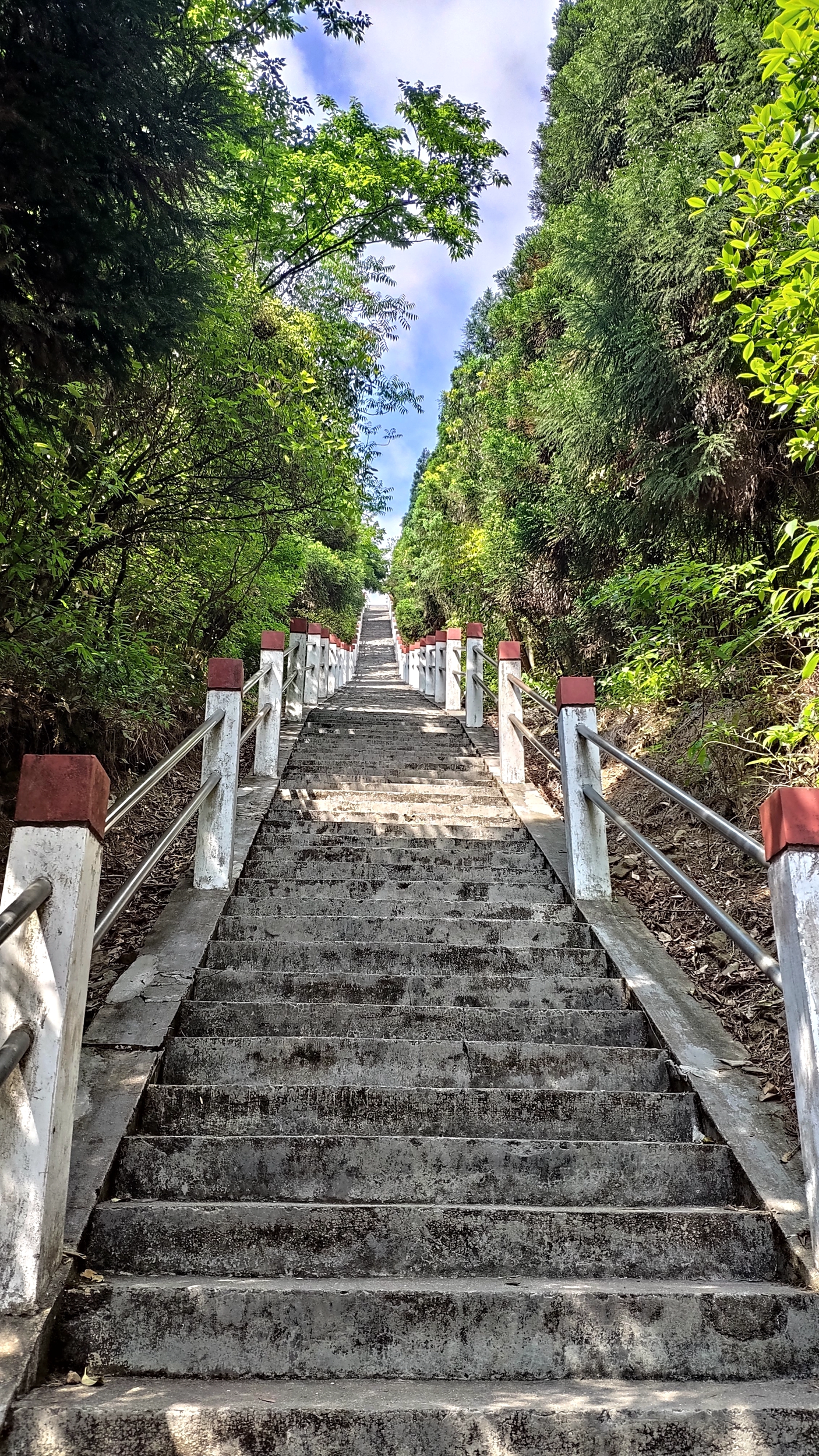 兰溪自驾游哪里好(离城市最近的国家森林公园！崇义阳明山是一个自驾游的好地方)