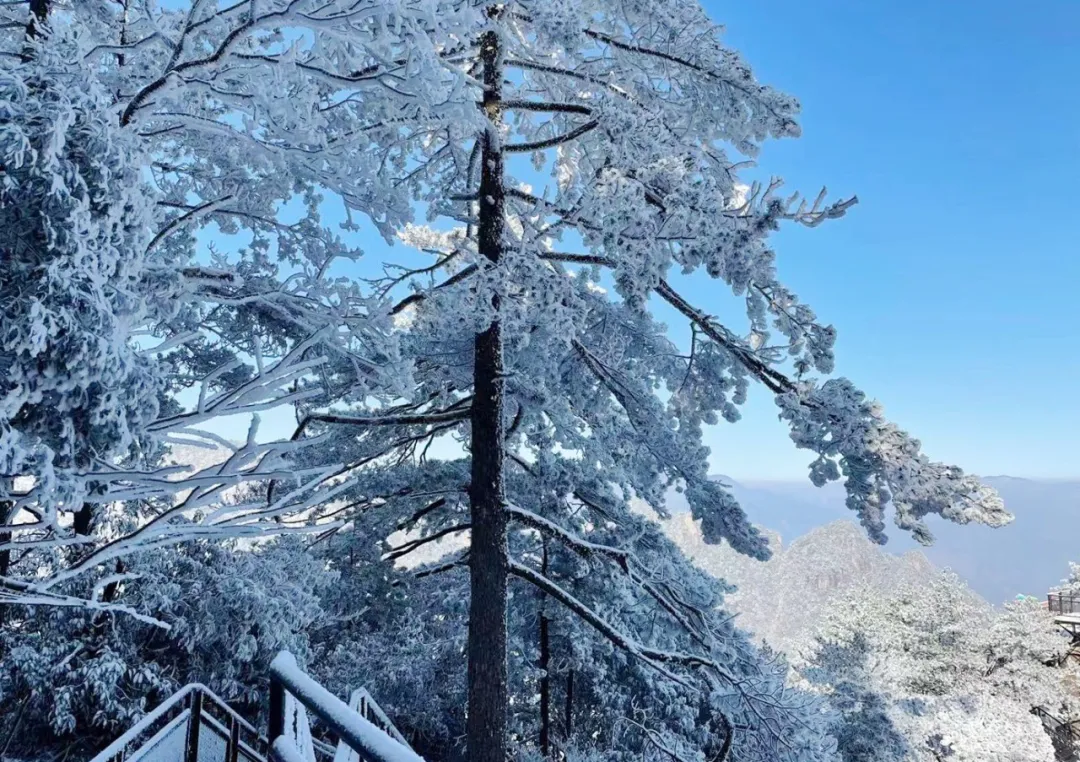 12月杭州哪里可以滑雪(千米高山，十年品牌，临安大明山万松岭滑雪场昨天开滑)