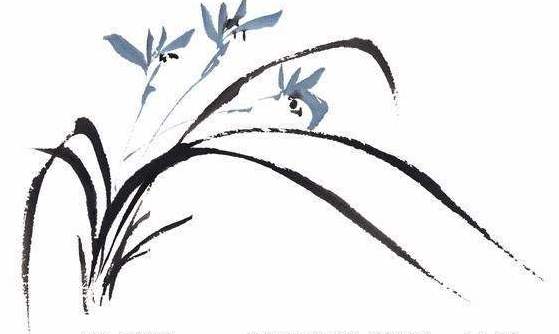 兰花的诗shi句赞美兰花的诗句,形容兰花淡雅的诗句