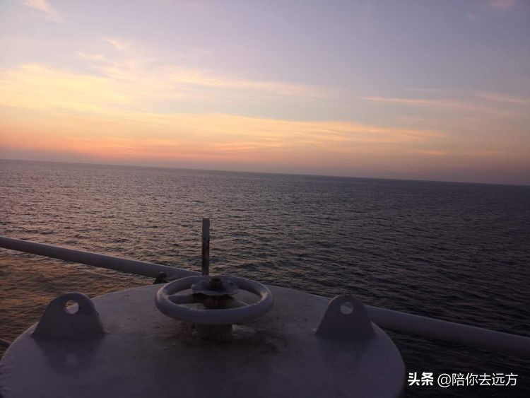 西沙~南海中的一片莲