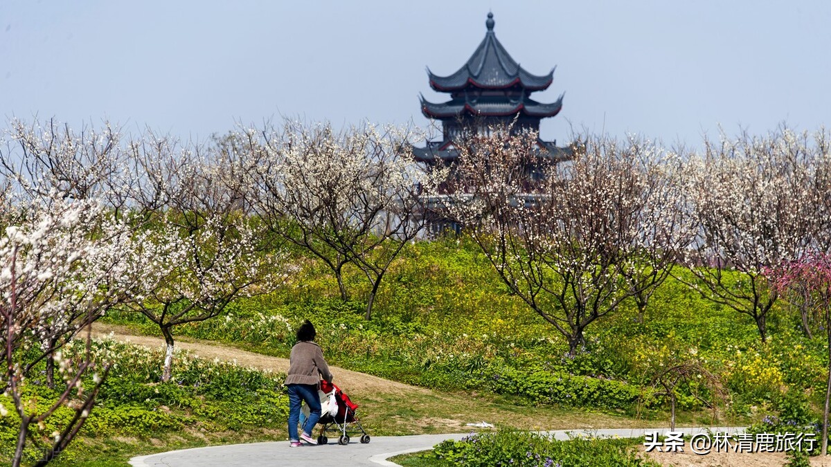 河南5个“空调”县城，自带凉风清爽无比，景色一流适合自驾游