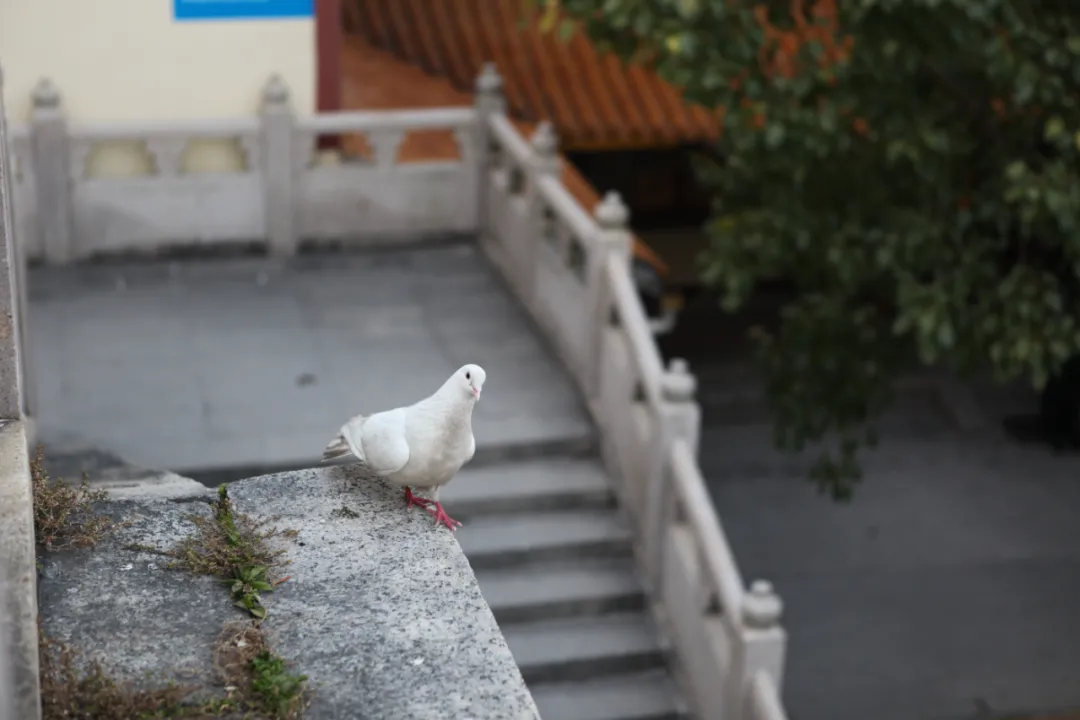 为什么不能踩门槛（关于踩门槛的禁忌讲解）