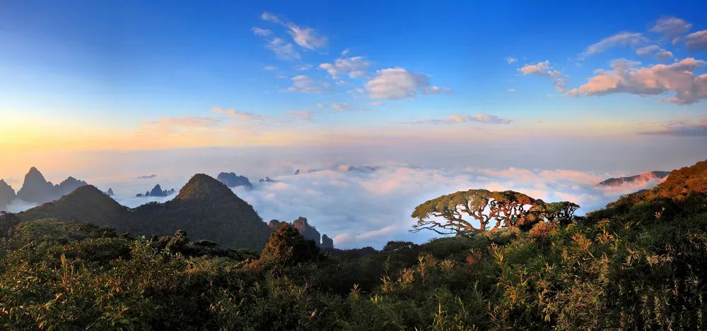 盘王节是哪个民族的节日(期待值 100！仪式感满满的金秀瑶族盘王节来啦)