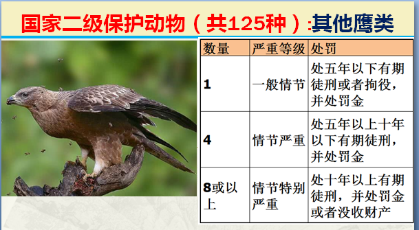 国家保护动物分几个等级（125类二级野生保护名录）