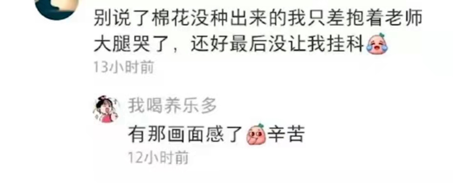 学农人的挂科理由火了，完成毕业论文真不容易，又心疼又想笑