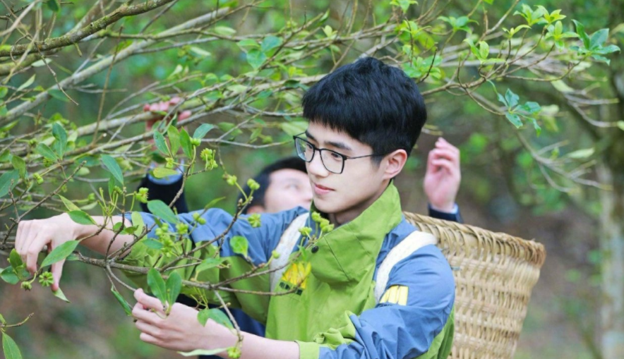 刘昊然顺利考编上岸，引大学生深思，明星也要来抢“铁饭碗”了？