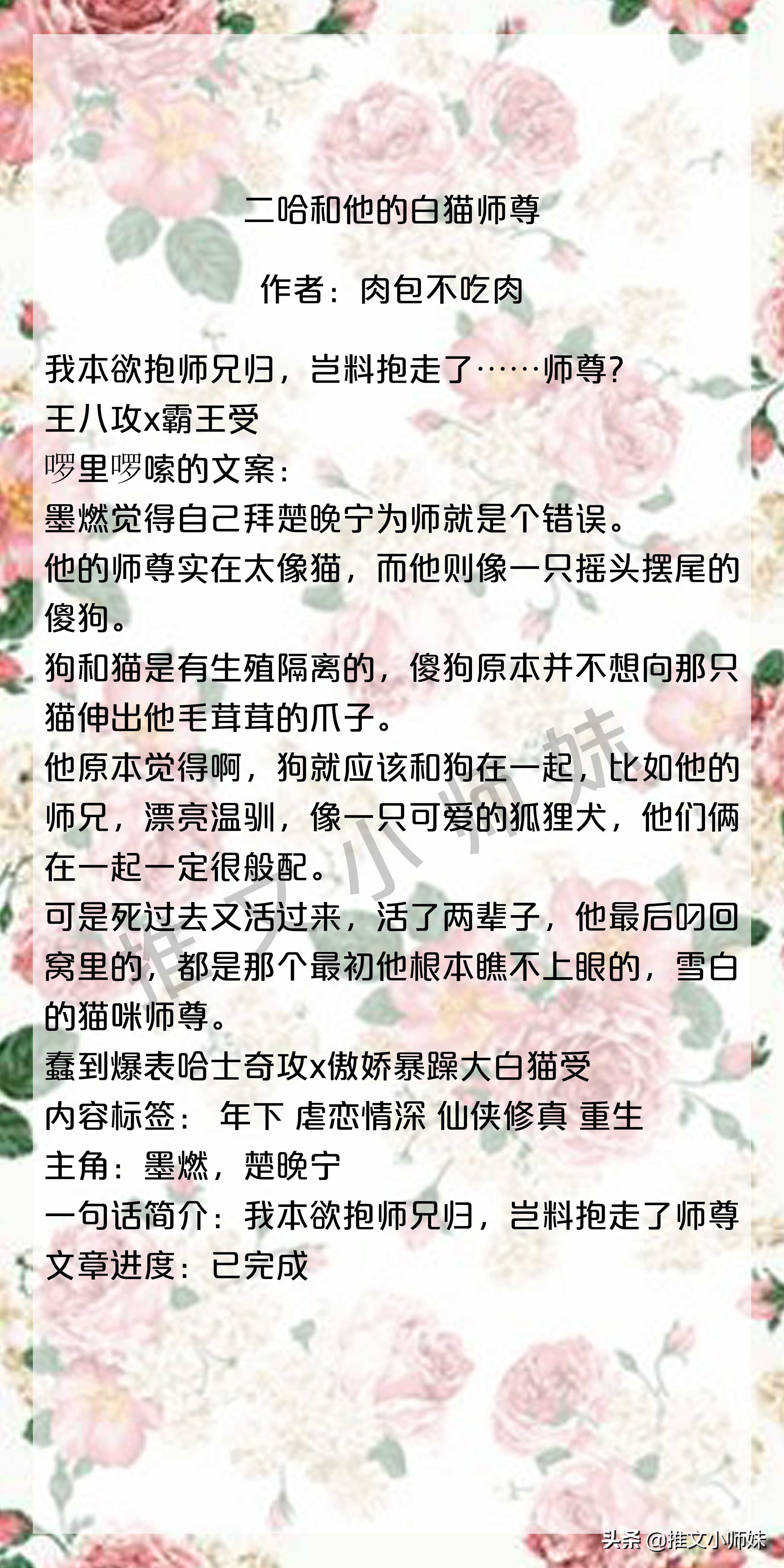 断头安利！不要因为名字而错过的小说，《全球高考》并肩炸考场