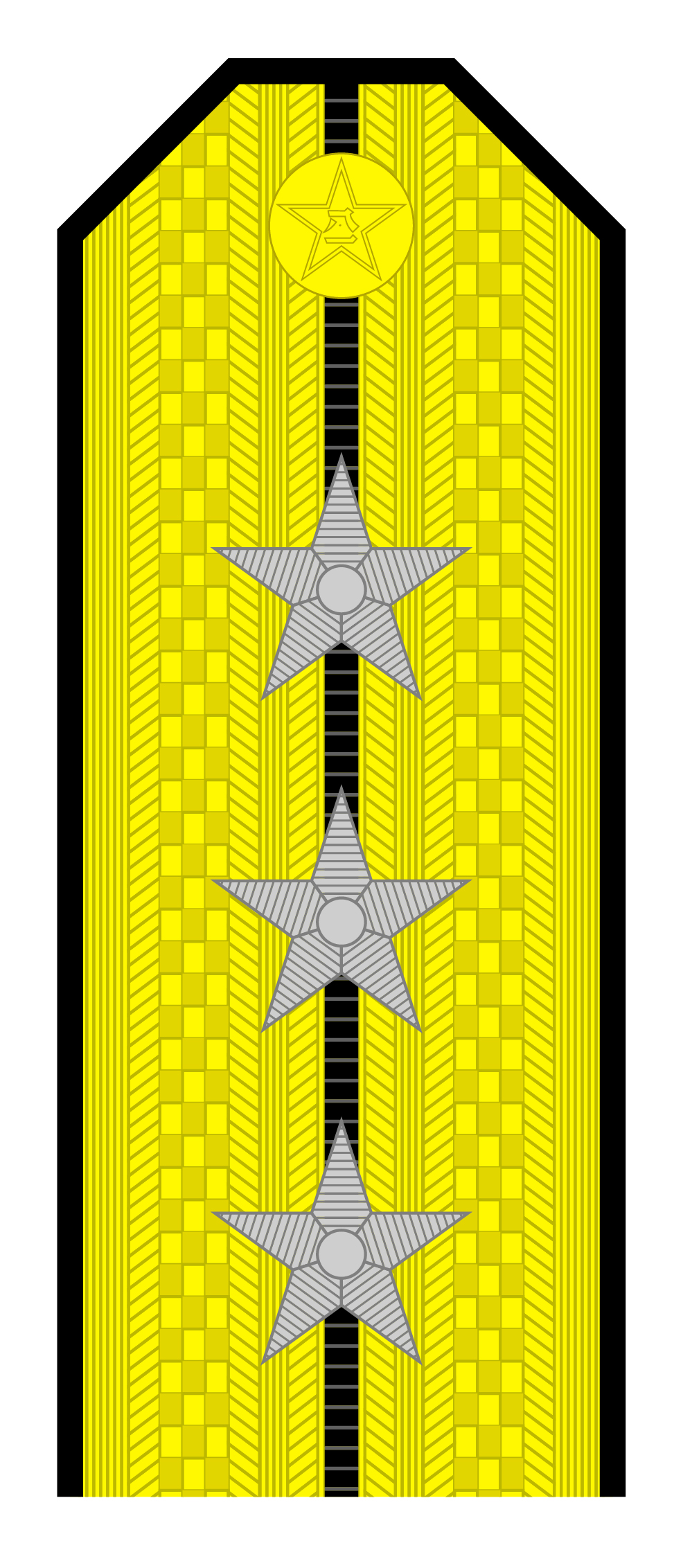解放军肩章大小图片（解放军55式军衔军官常服肩章一览）