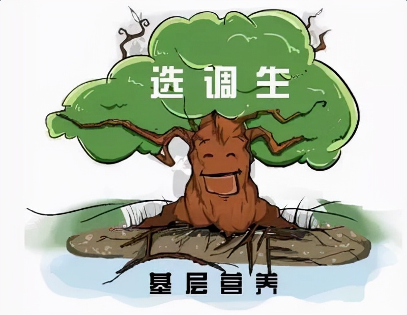 選調生的實際待遇如何？