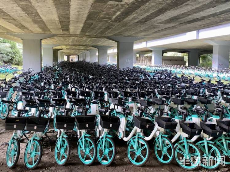 半岛独家丨太壮观！数千辆共享电动自行车藏身立交桥下！网友发问：危险不？车牌呢？