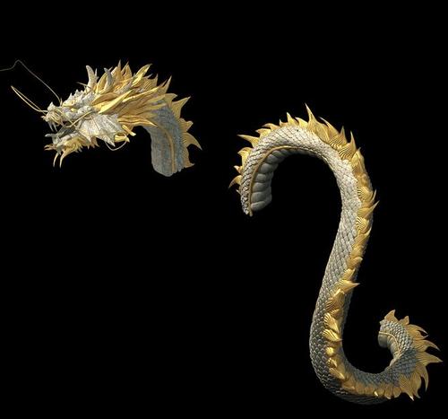 真的有龙吗？？存在的证据可信吗？？