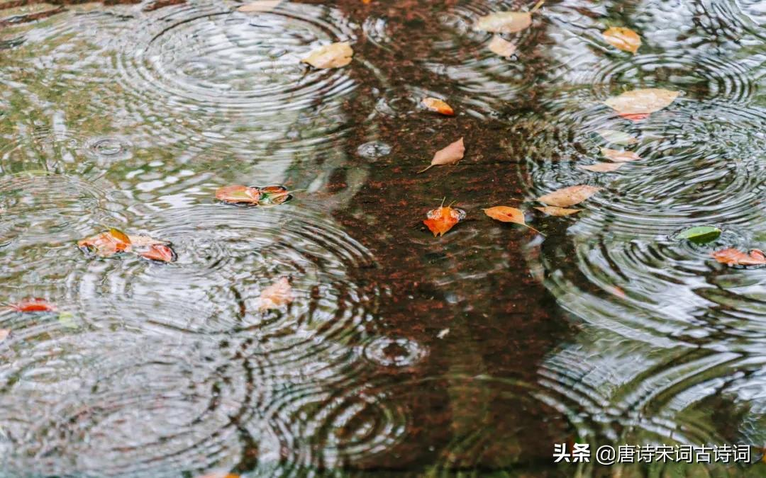 不由得感觉,秋天是被雨水带来的.