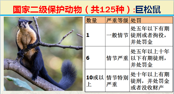 国家保护动物分几个等级（125类二级野生保护名录）