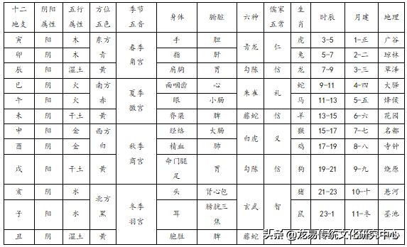 地支的阴阳属性及运行规则是什么？