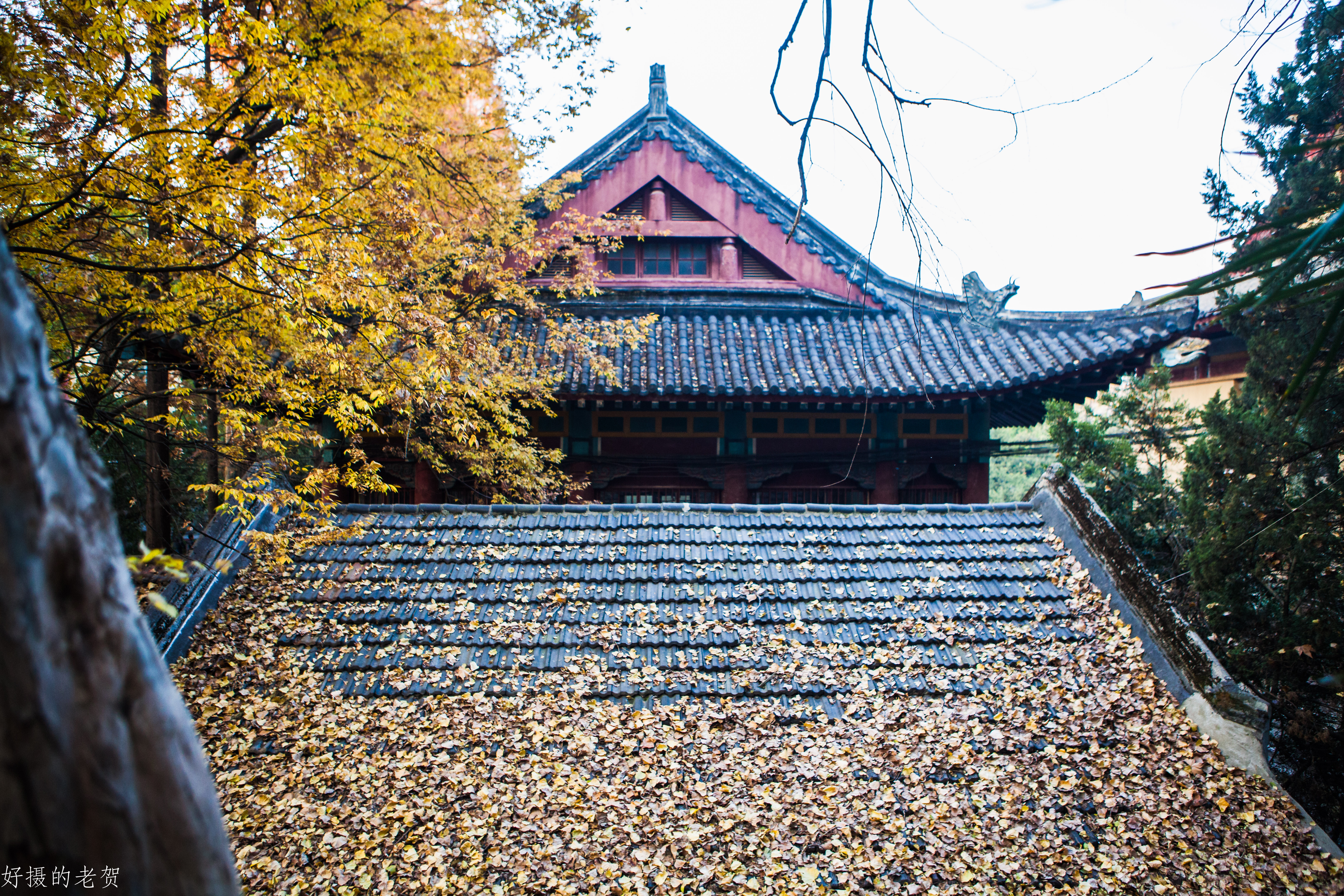 南京师大，曾是中国第一座女子大学，大文豪袁枚的随园所在地